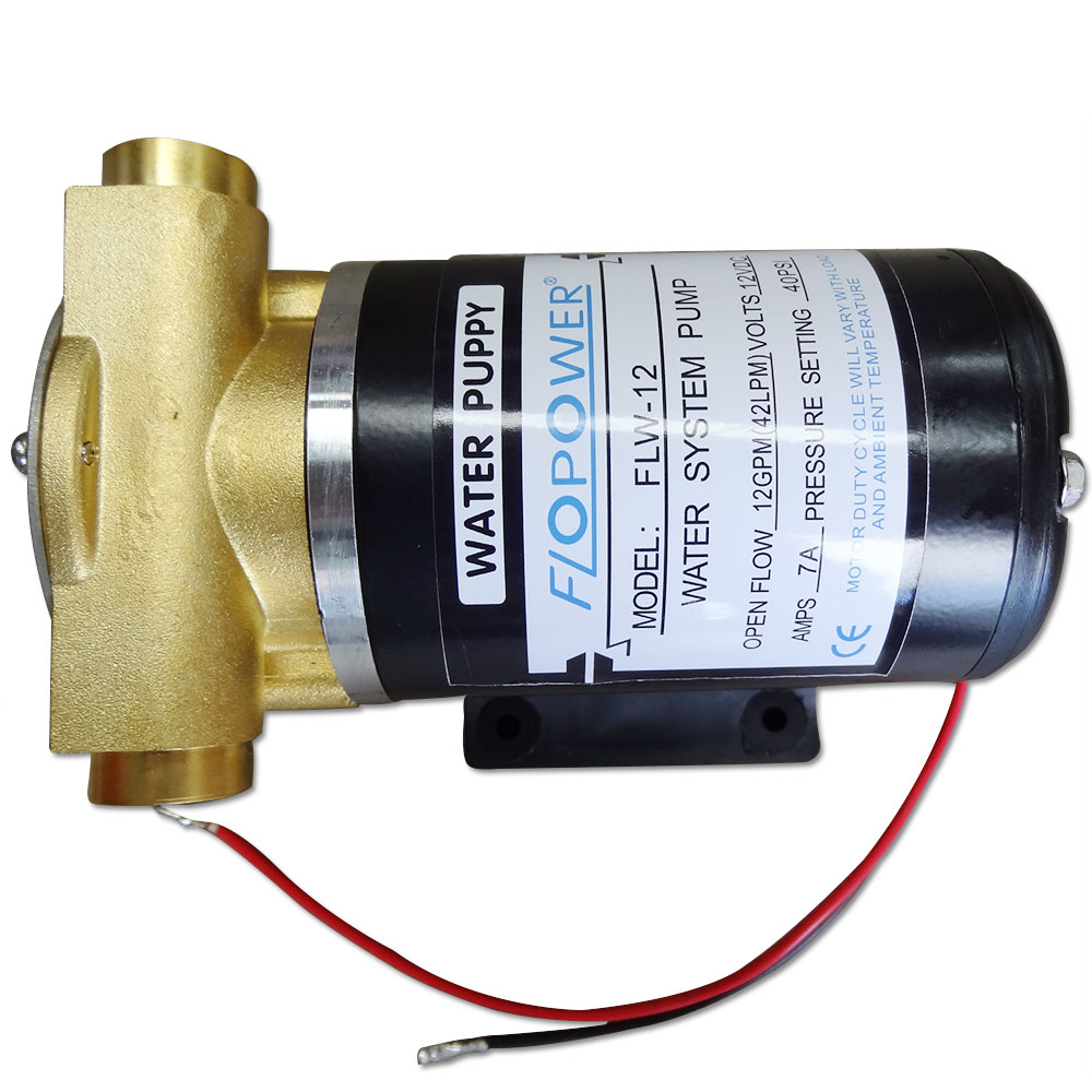 12 volt water pump for boat